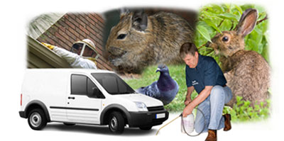 South Shields local van